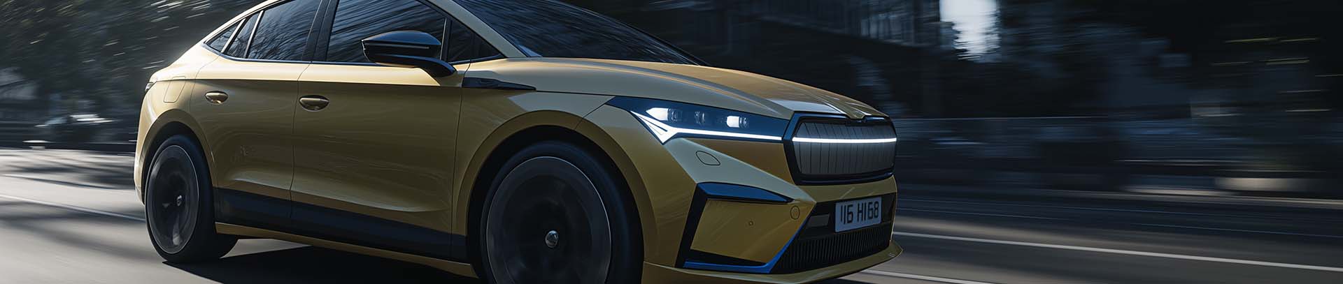 Portfolio header.jpg
