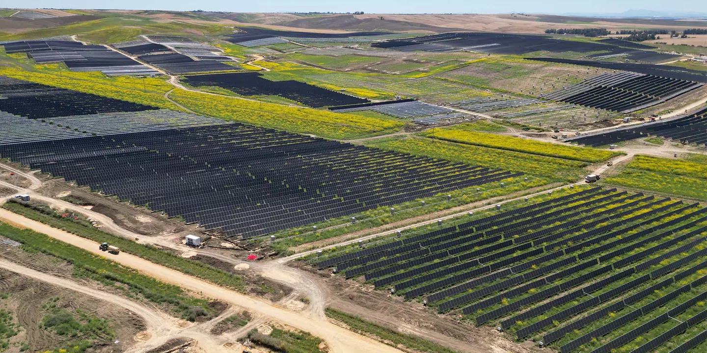 Solar panel field.jpg
